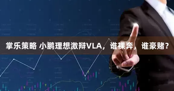 掌乐策略 小鹏理想激辩VLA，谁裸奔，谁豪赌？